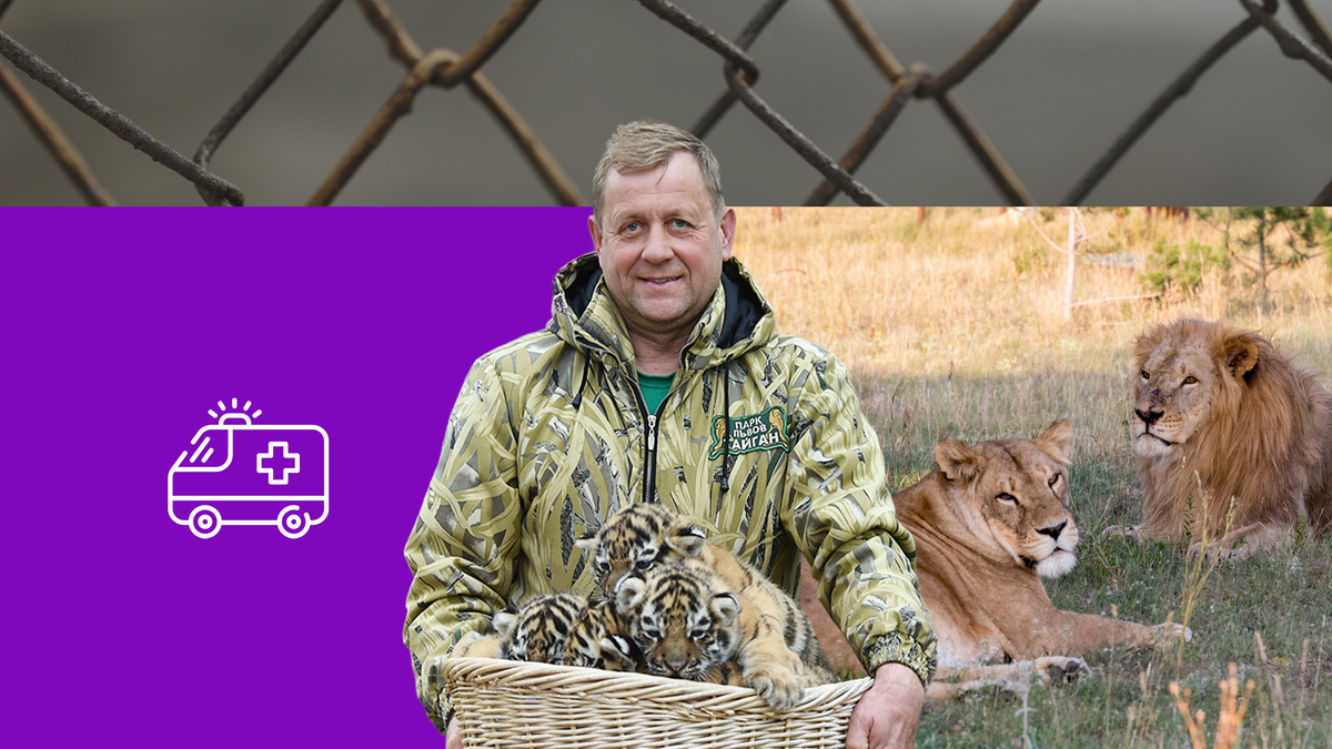 Коллаж 78.ru: ИЗВЕСТИЯ/Александр Полегенько, vk.com/ТАЙГАН, unsplash.com, flaticon.com/Freepik