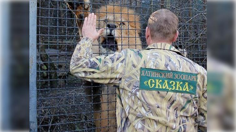 Фото: t.me/parktaigan