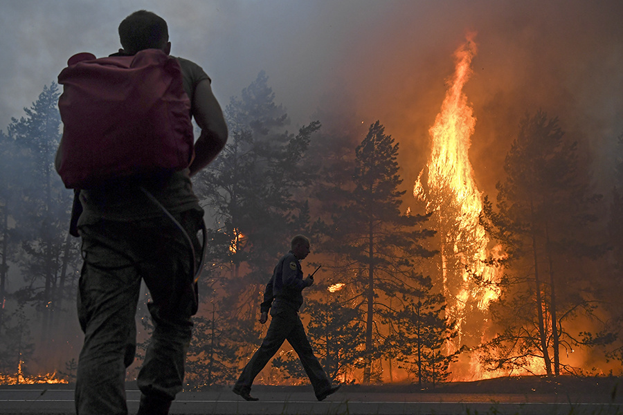    © Максим Богодвид/РИА Новости