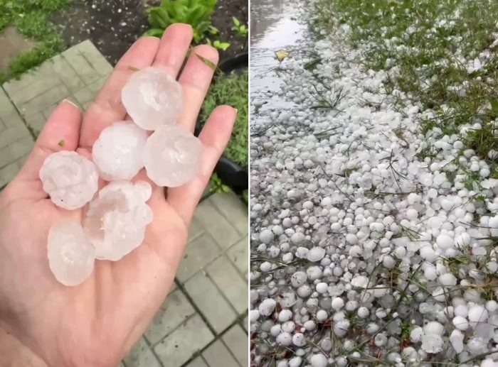 Кадры видео из тг-канала АСТ-54 Black.