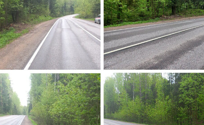    © Эконадзор Ленобласти