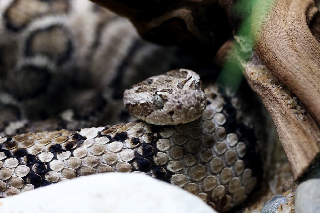    Фото © Владимир Андреев / Абзац