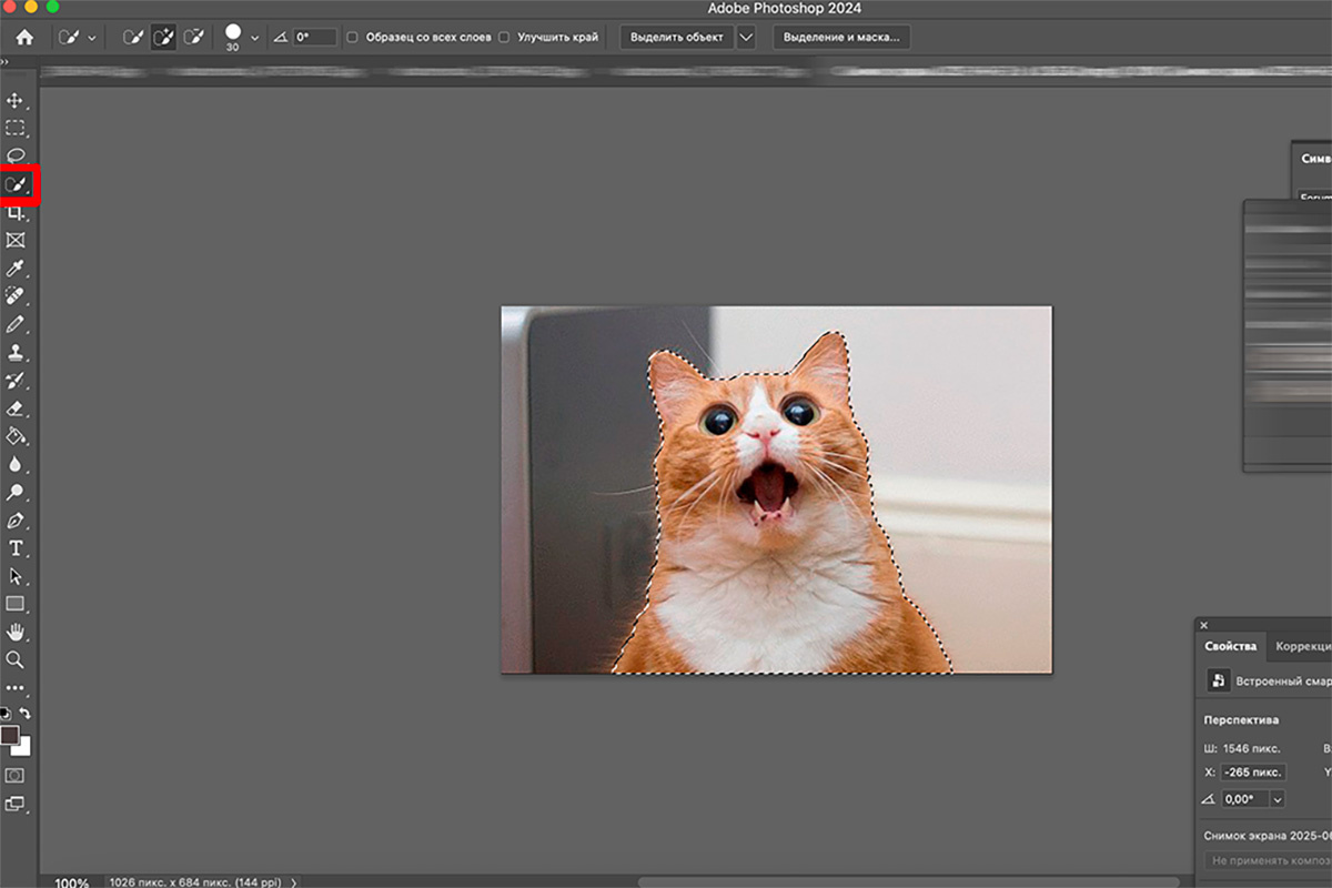РБК Life📷Стикеры на компьютере можно сделать с помощью Adobe Photoshop