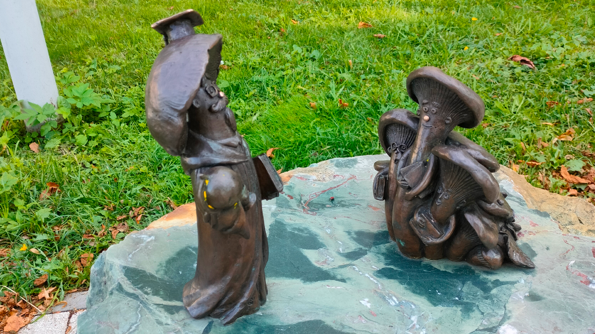 Фото Грибы в Рязани у Первой мужской гимназии, Профессор и его студенты