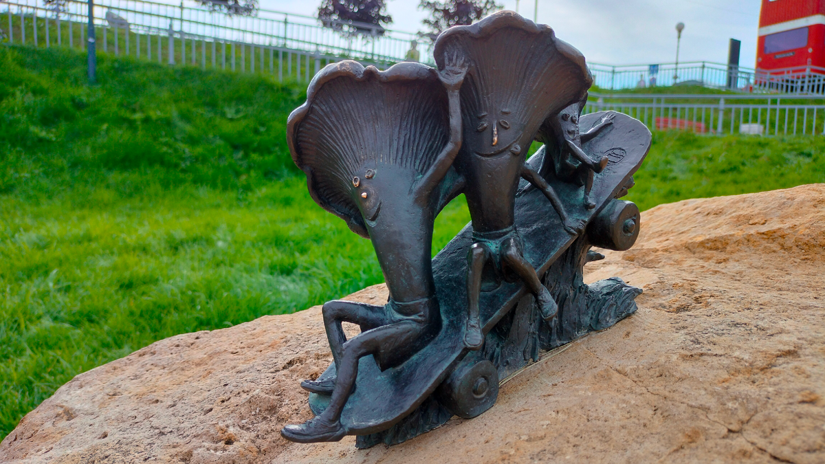 Фото Грибы в Рязани Лисички на скейтборде