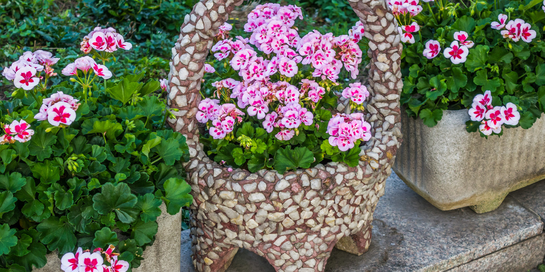 Как создать красивую клумбу 🌺своими руками: 25 фотоидей для вдохновения