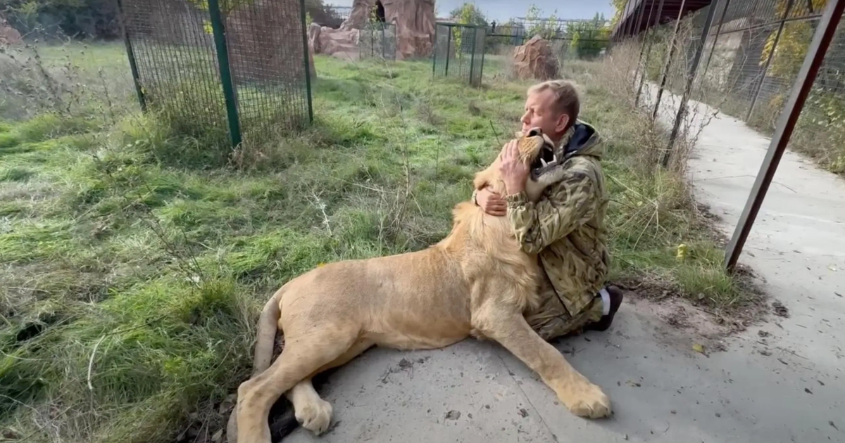 Источник https://resizer.mail.ru/p/e266c0e3-2ff0-55fc-9a55-5e617b508dfb/AQAGxAjUrJCvfIUV27Of7p4aF90GzmxKPQC1ySOoG95tk51XkpIQgTXD1CbQyF9D8-ix7mDDvs_lV3zBZaXMm2BPAbs.png