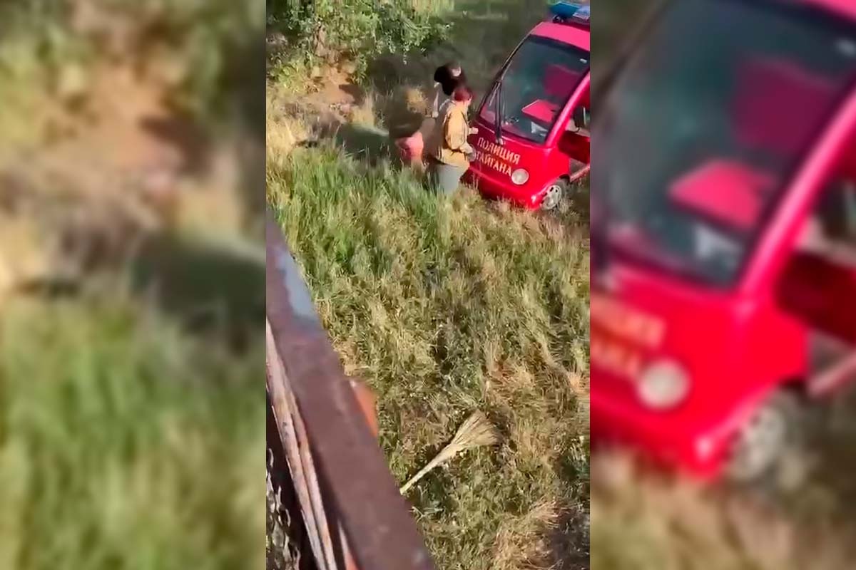 Источник https://kuban24.tv/wp-content/uploads/2025/06/parktagan.jpg