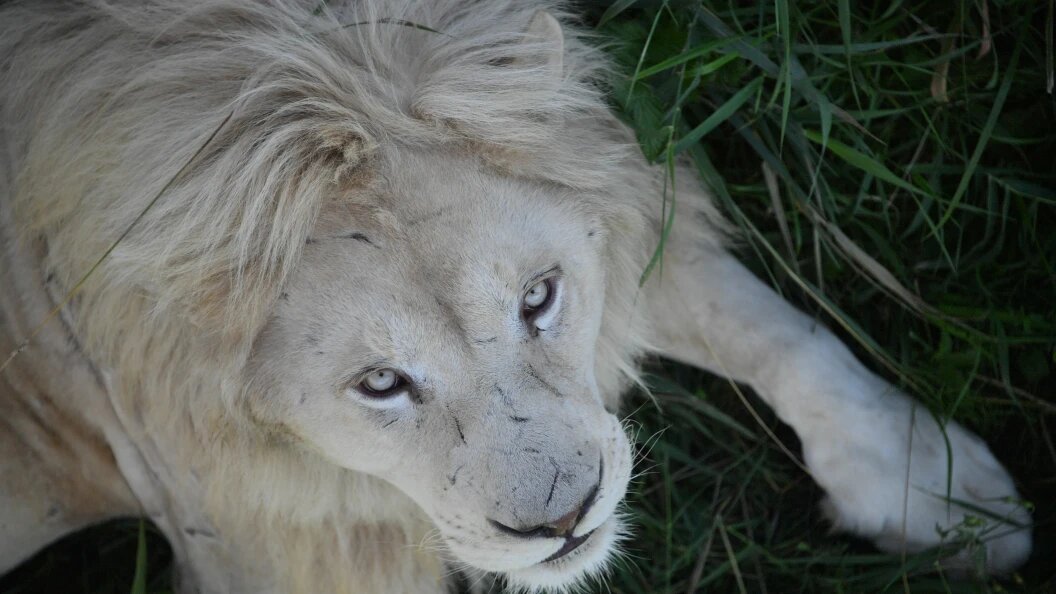    Komsomolskaya Pravda/Global Look Press/Globallookpress