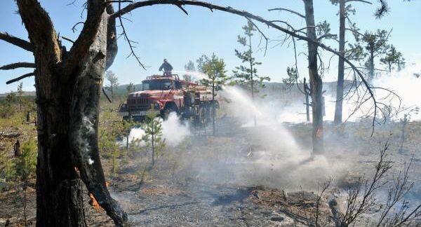    РИА «Новости»