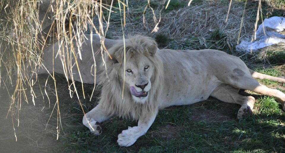    Komsomolskaya Pravda/Global Look Press / www.globallookpress.com