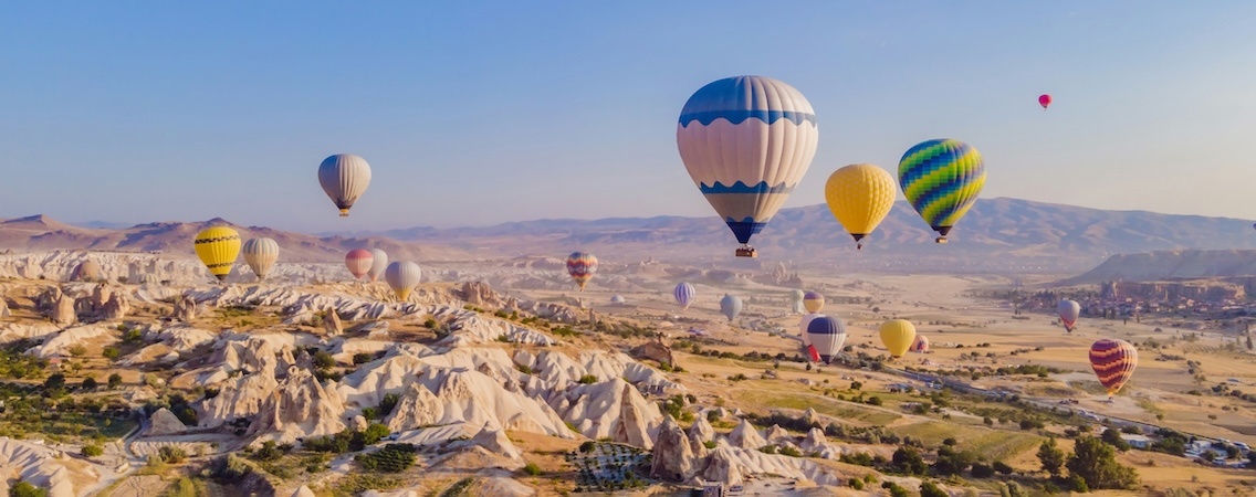  @Elizaveta Galitckaia/Shutterstock