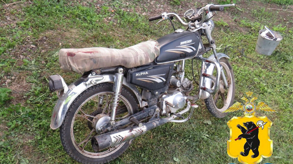 Фото: УМВД России по Ярославской области