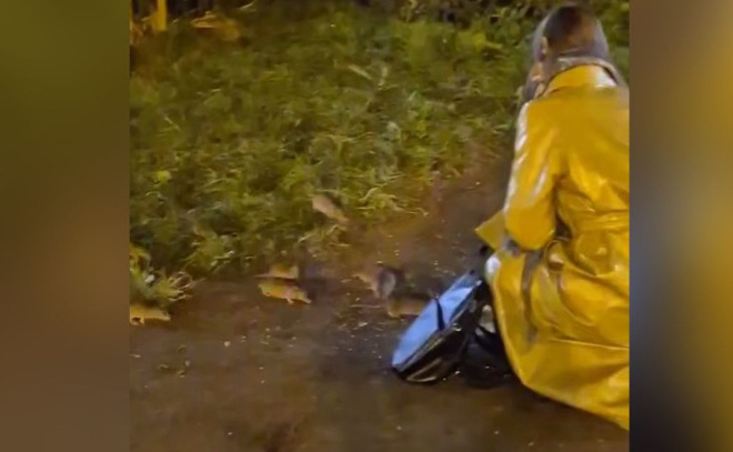    © Telegram-канал «Девяткино online | Мурино»