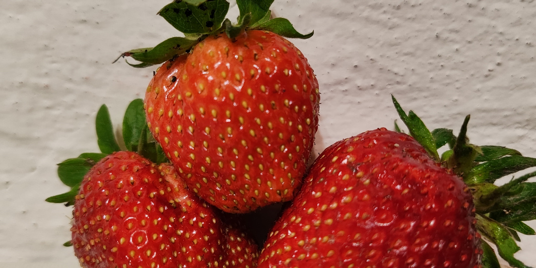 Клубника в июле: секреты подкормки для рекордного урожая