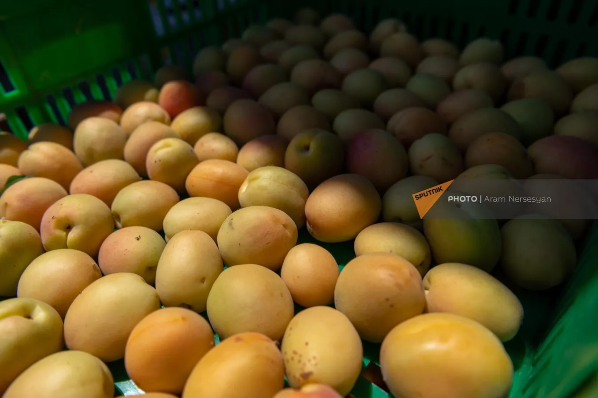 © Sputnik / Aram Nersesyan