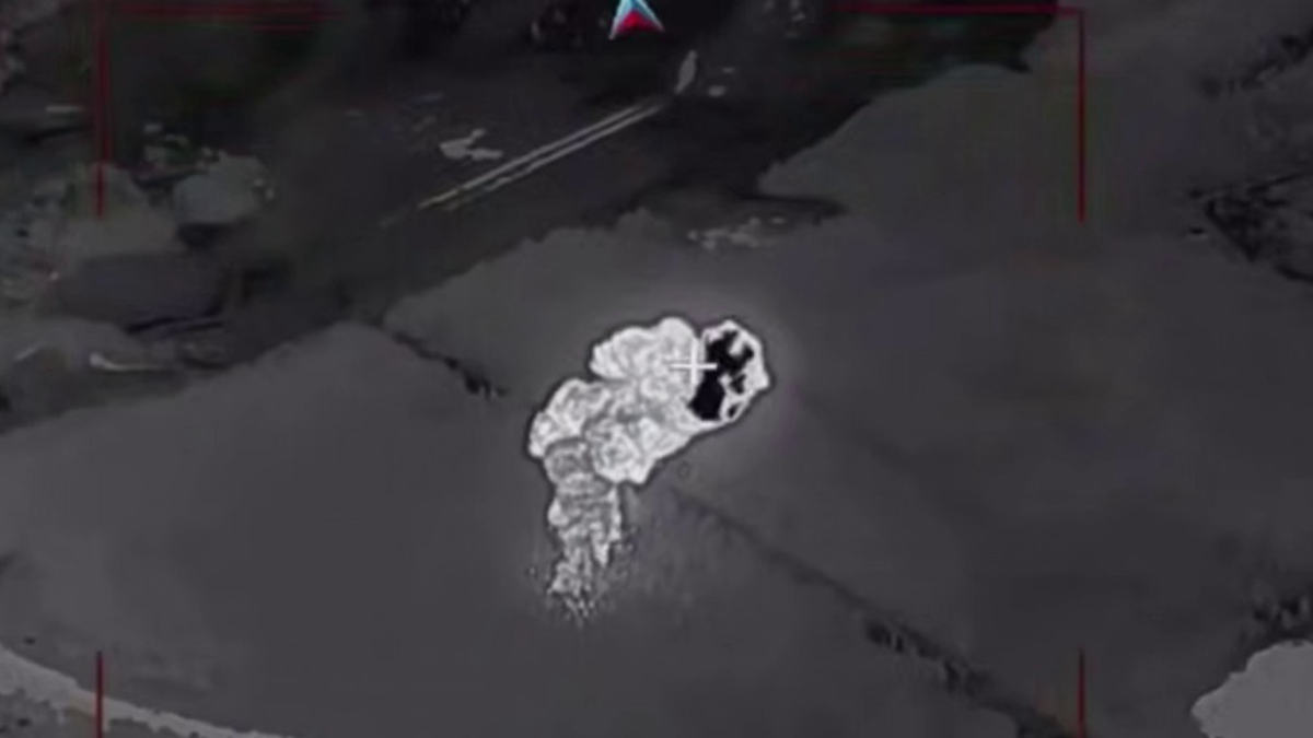    Фото: Скриншот видео РИА Новости