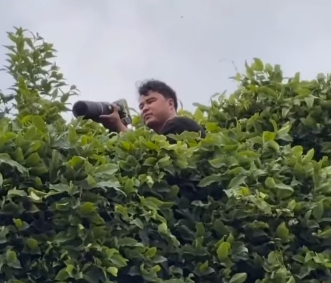 Наш замечательный поставщик контента не спит. 