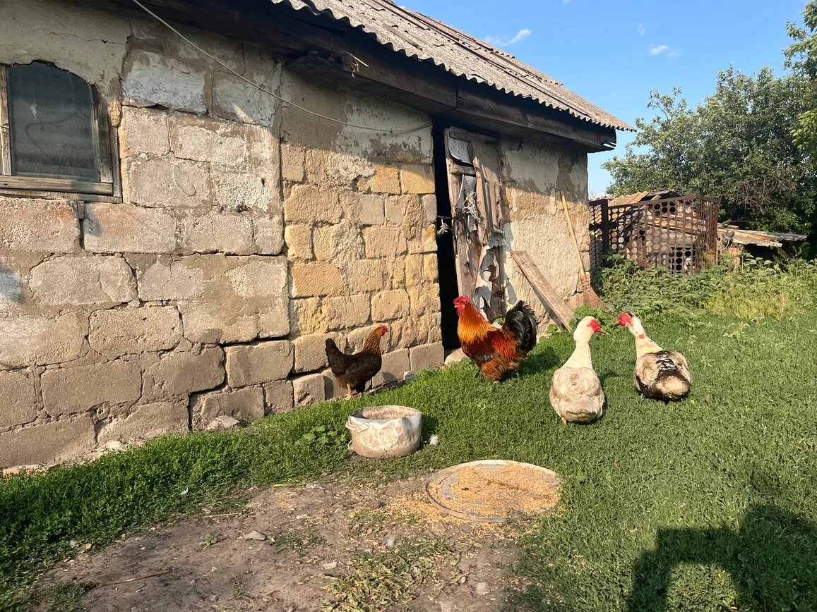 Небольшое хозяйство помогает выживать