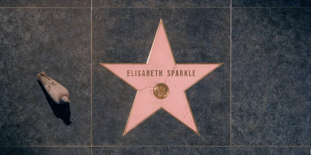 "Звезда" Элизабет Спаркл