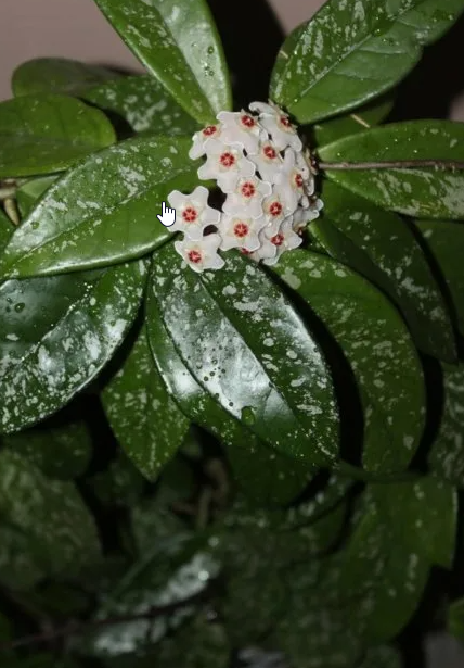 фото из интеренета