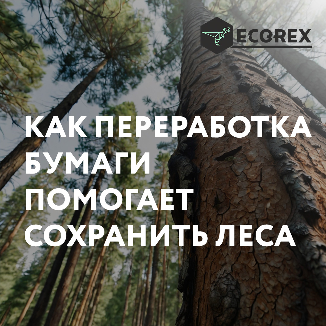 Изображение создано при помощи AI