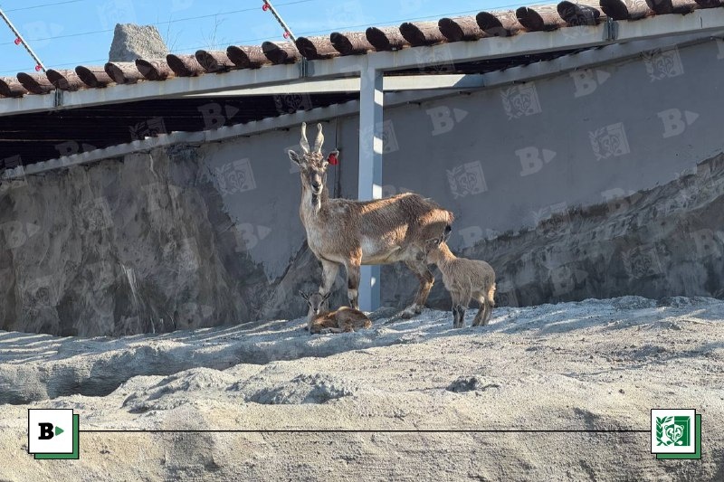    Фото: V-kurse.ru Елена Сарманова