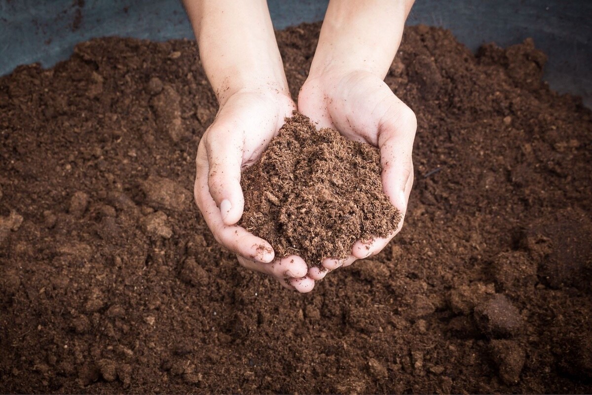 Источник фото: Canva