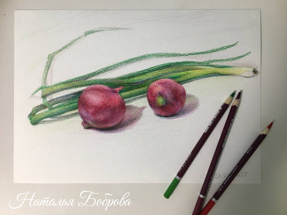 Натюрморт с натуры цветными карандашами