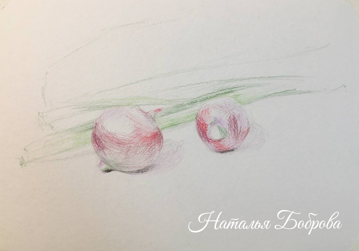 Этап ведения рисунка цветными карандашами