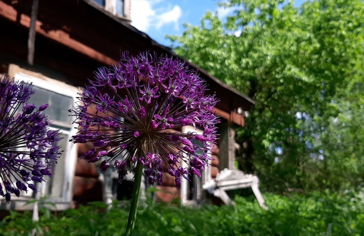 Ну разве не прелесть🥰?