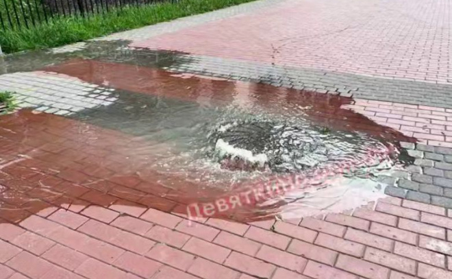    © Telegram-канал «Девяткино online | Мурино»