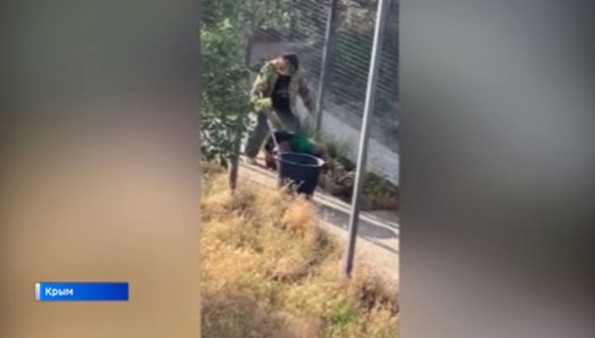    На уроженца Курска, директора крымского парка "Тайган" напал собственный лев