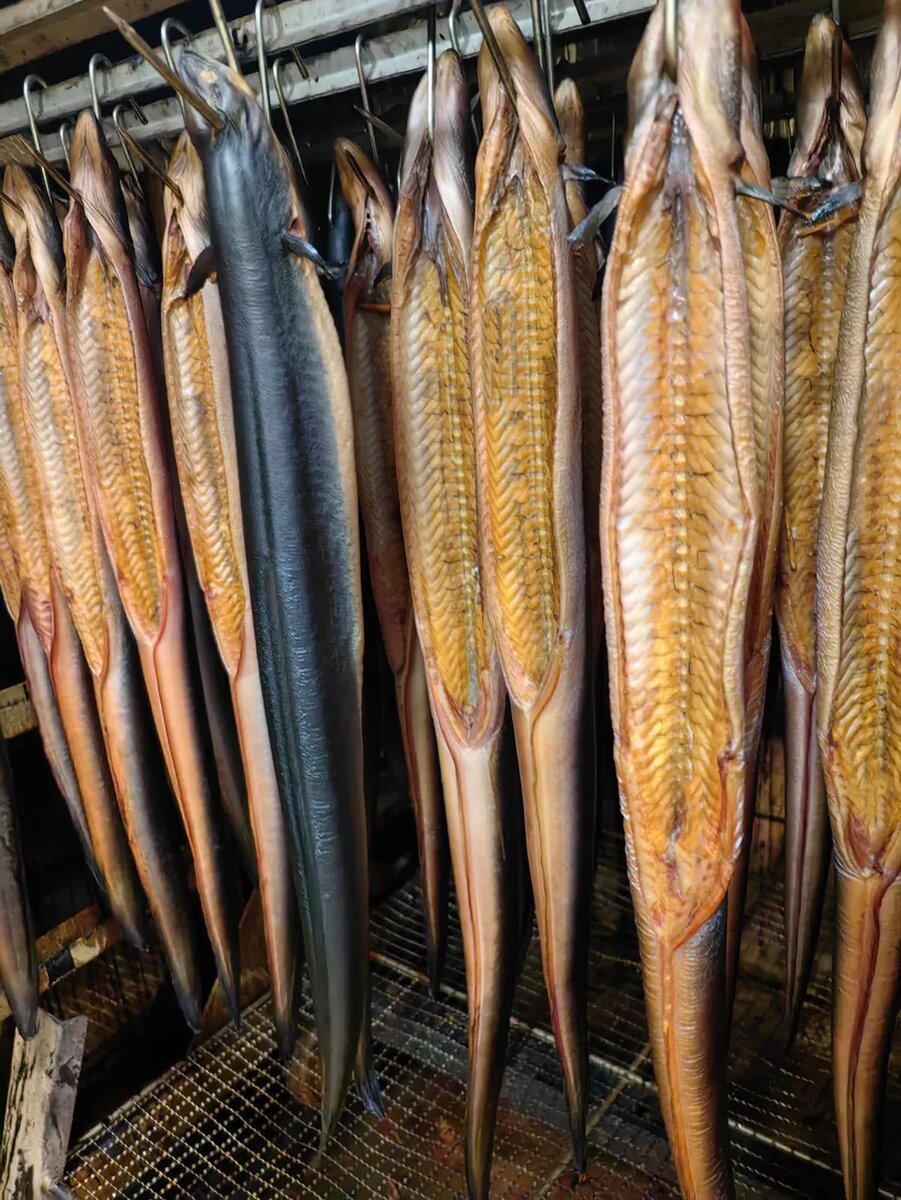 Балтийский угорь горячего копчения