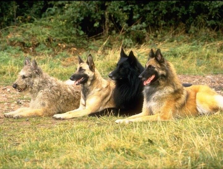 Изображение из интернета