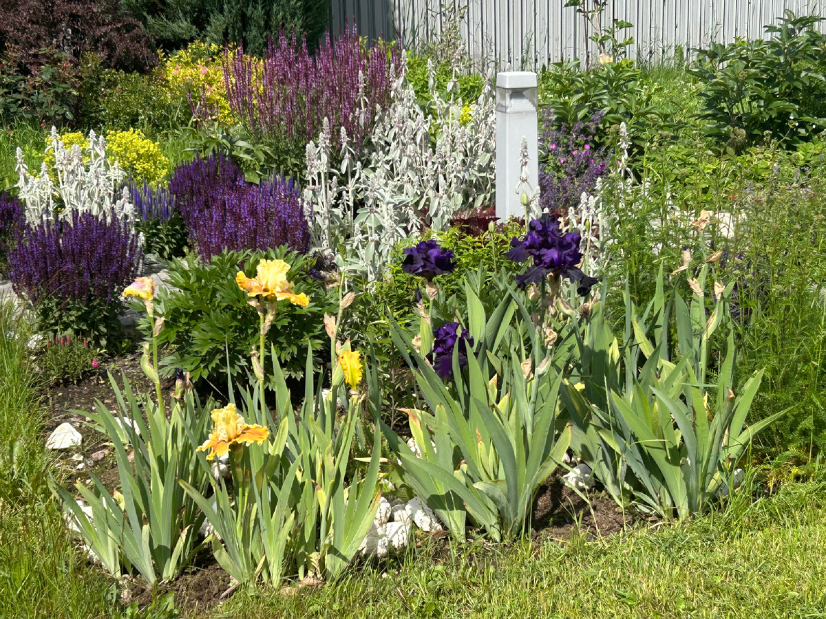 Стало сегодня 23 июня 2025