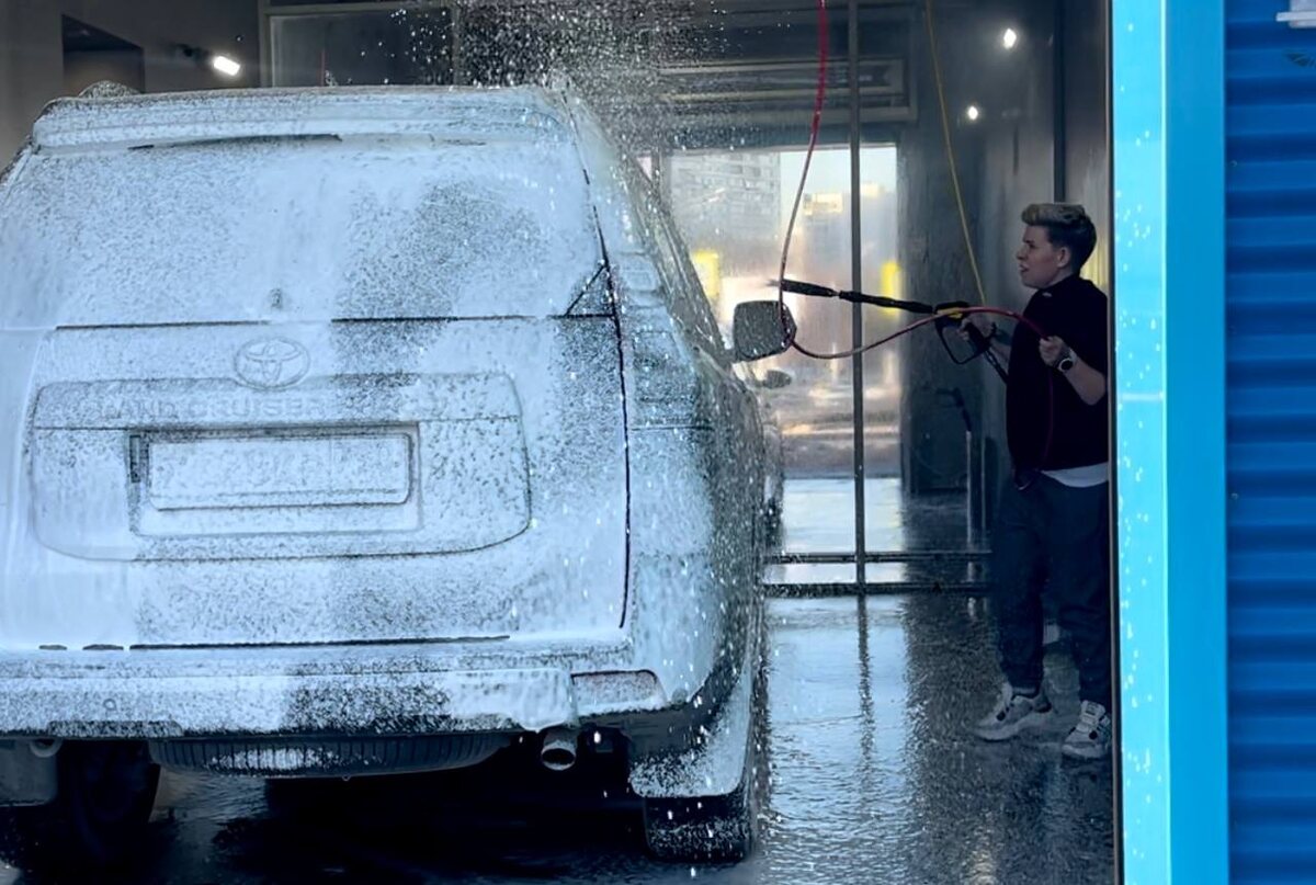 Пыль — это не "легкий налет", а бесплатный абразив для вашего лака, плюс бесплатный "автограф" от птиц - все это может стоить вам нового слоя лака. Лучше смывайте сразу. Фото: Августинка Алена