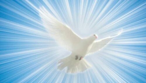 Символ Духа Святаго, подающему благодать в христианстве - "белый голубь".