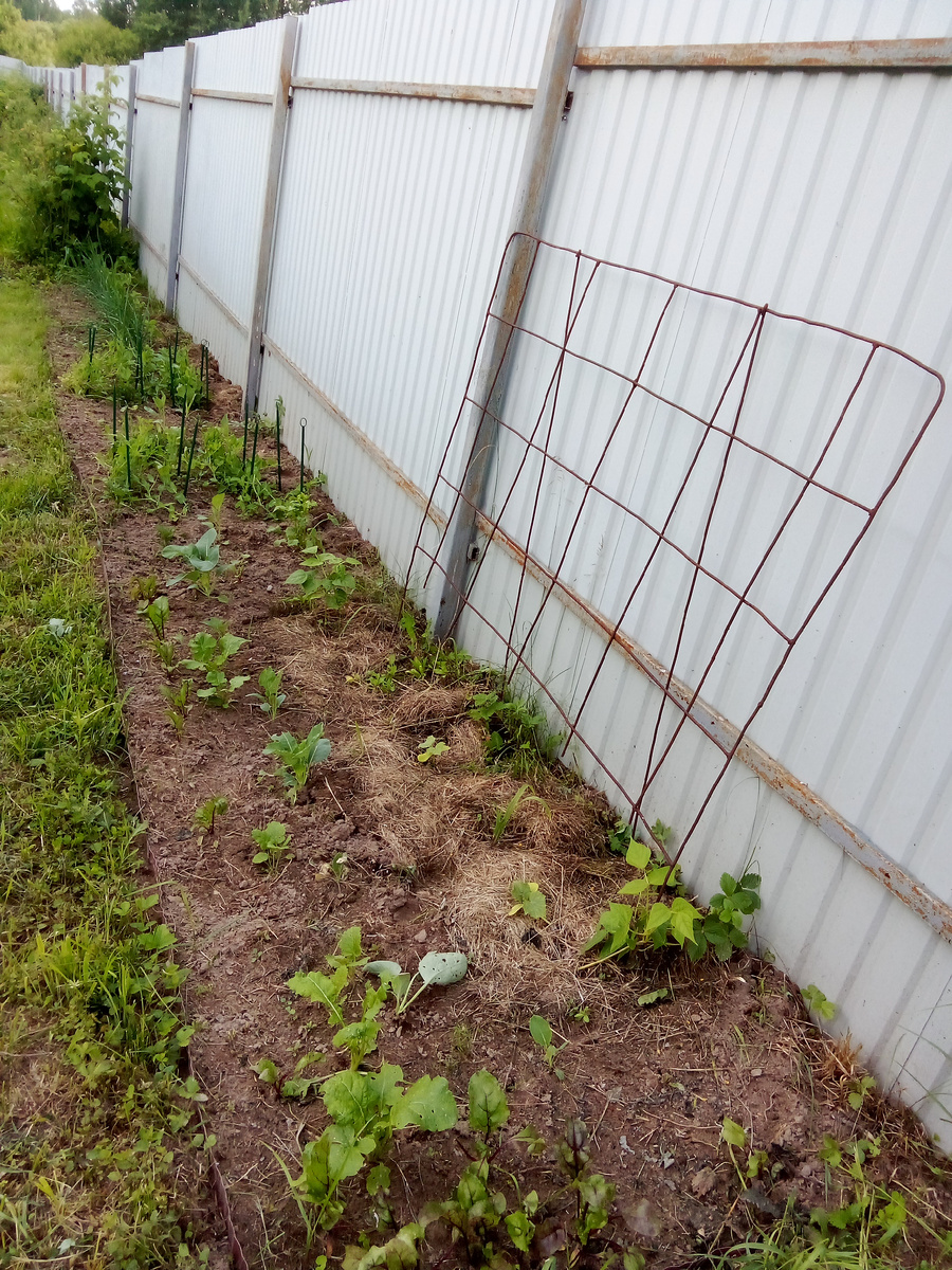 Миксбордер