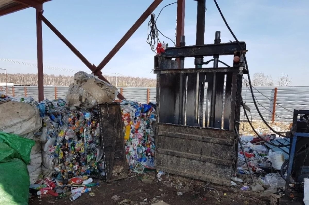    Золотая лихорадка.