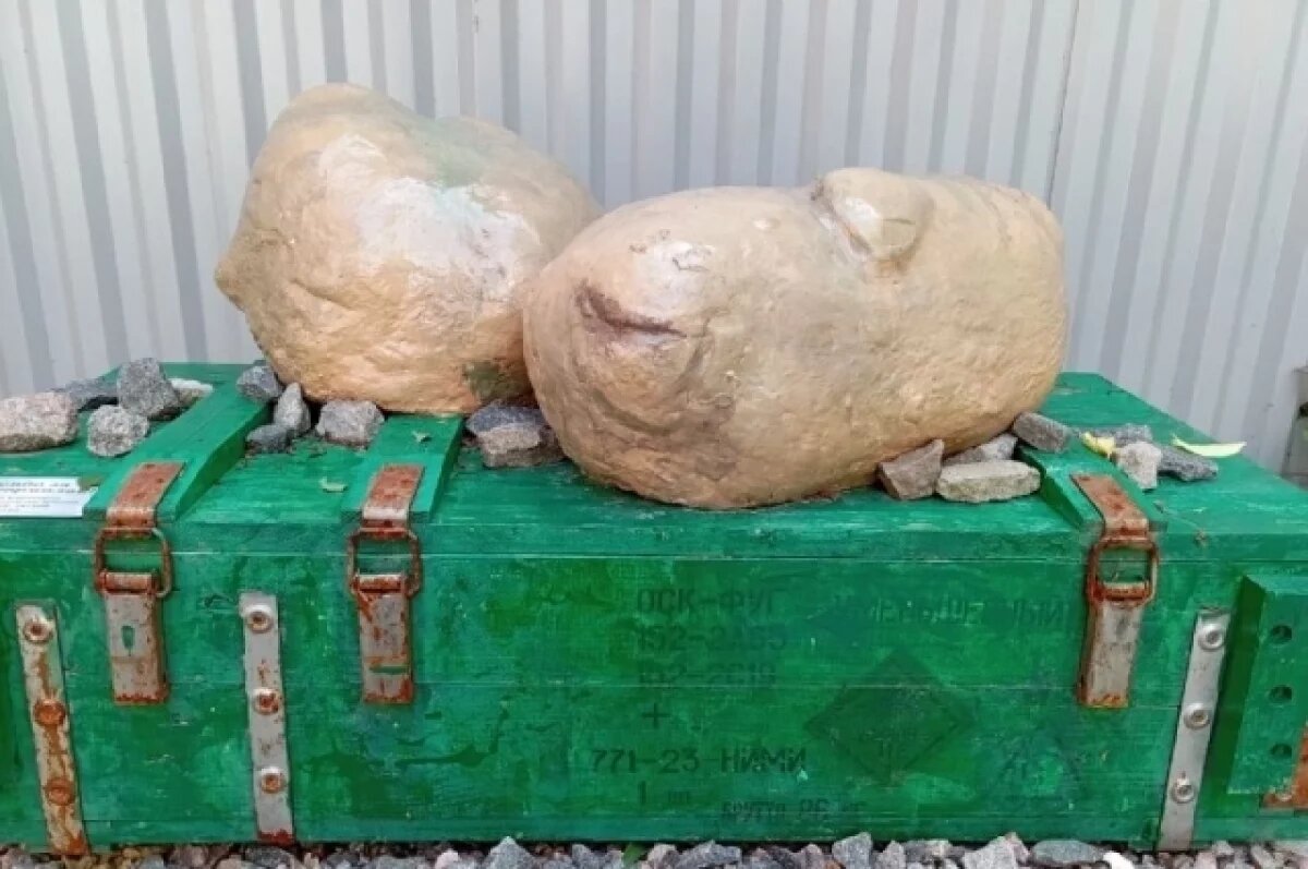    Памятник картошке - дань уважения корнеплоду, который в годы войны спасал от голода.