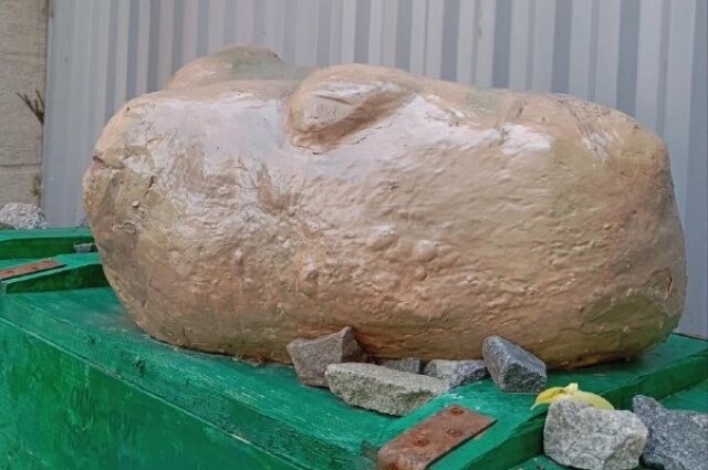    Фото: АиФ в Туле/ Анастасия Калинина