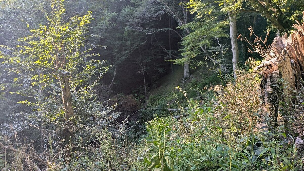    Фото: телеканал «Краснодар»