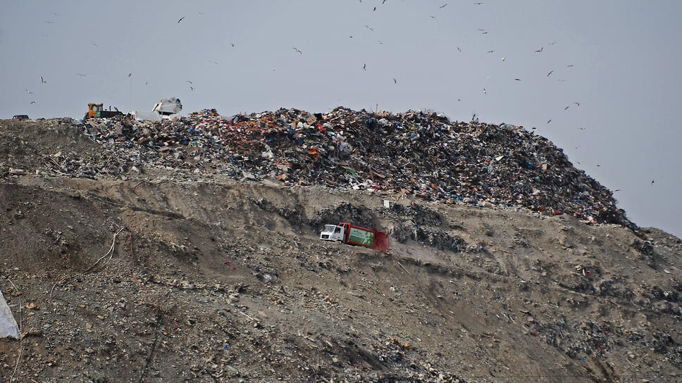 Фото: Юрий Березнюк