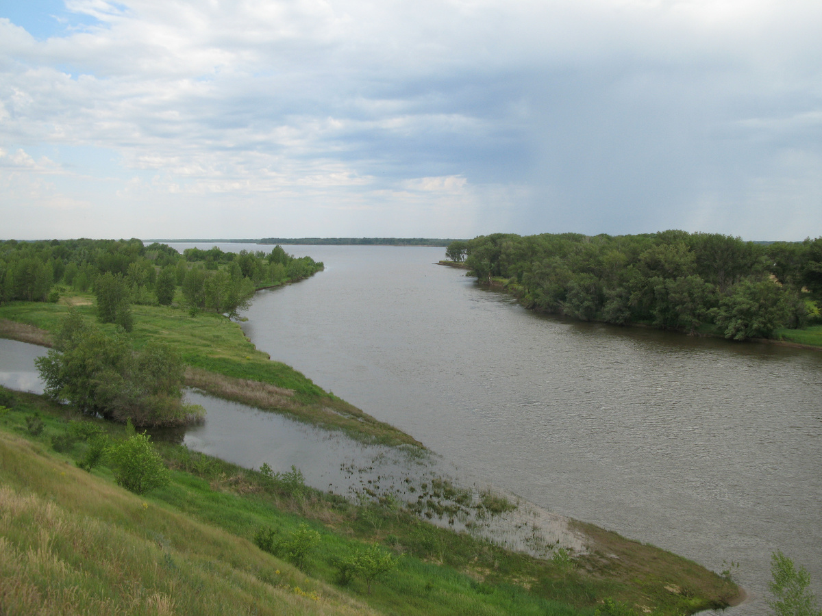 Типичный локальный вытек. Скоро он перестанет работать, но хищник еще пару дней будет «курировать» это место