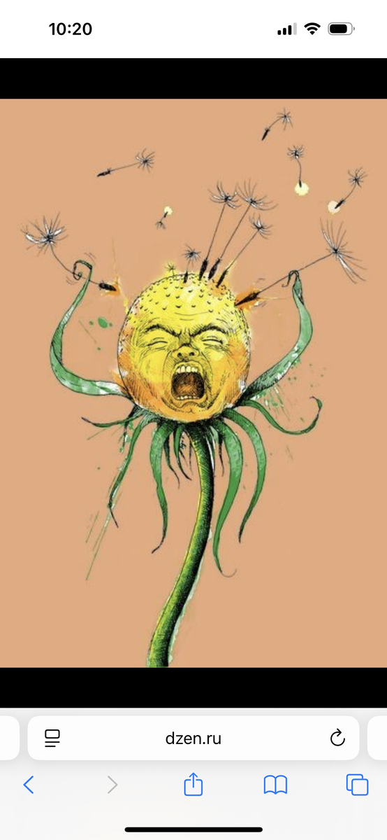 Интернет удачно подсовывает мне тематические картинки. Это я спокойно и уравновешенно жду всяческих результатов )) Вся жизнь - экзамен 