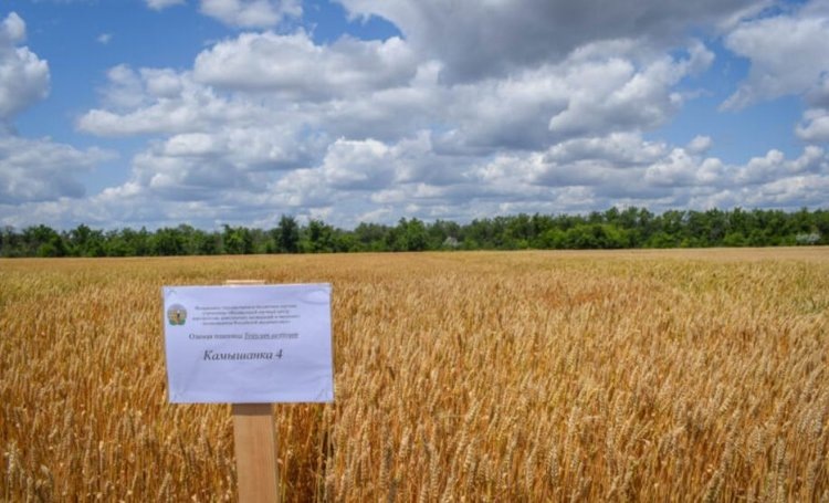    Фото: ФНЦ агроэкологии РАН