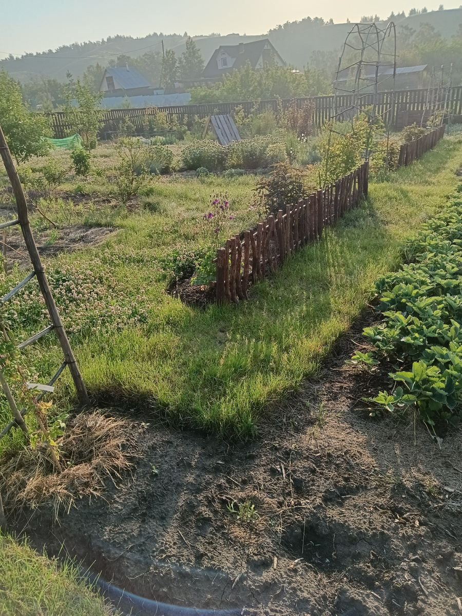 Покрашенный заборчик в лучах утреннего солнца