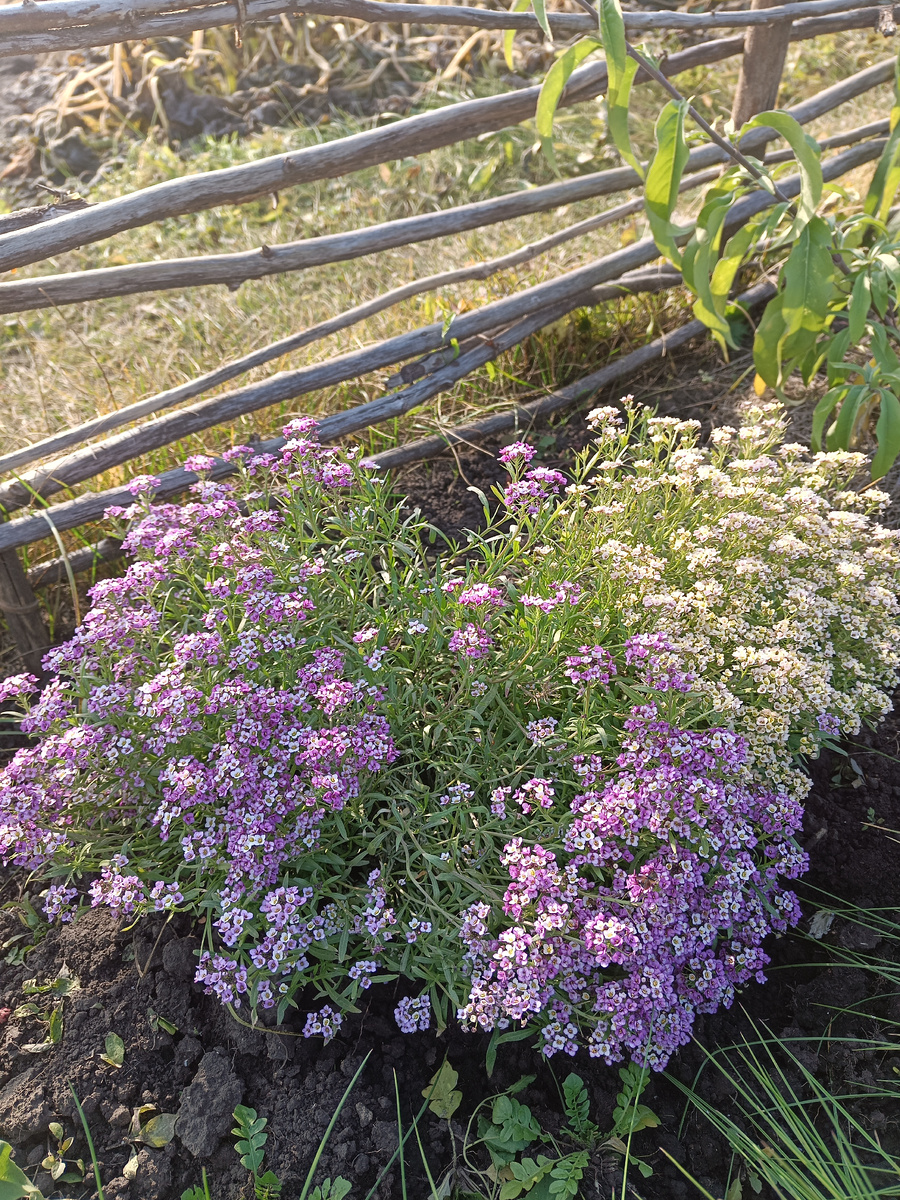 Ранее было такое ограждение