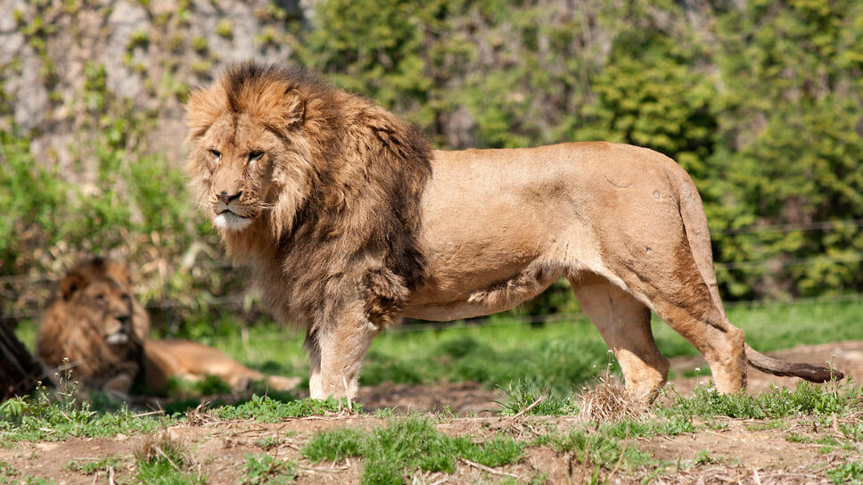 Фото: Алексей Смышляев / Коммерсантъ